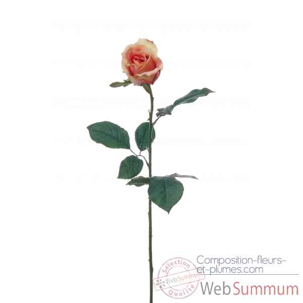 Bouton de rose 75cm Louis Maes -06177.458