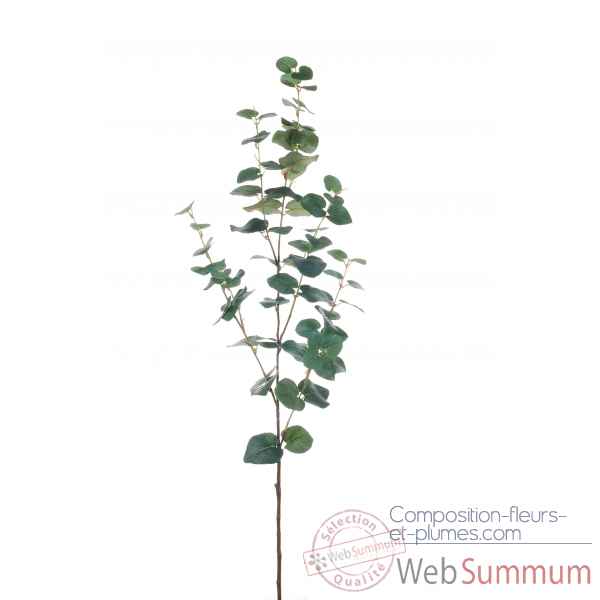 Eucalyptustak x5 104cm Louis Maes -06094.000