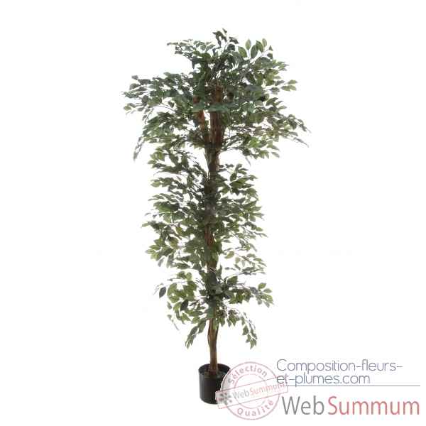 Ficus topiary vert Louis Maes -40104.150