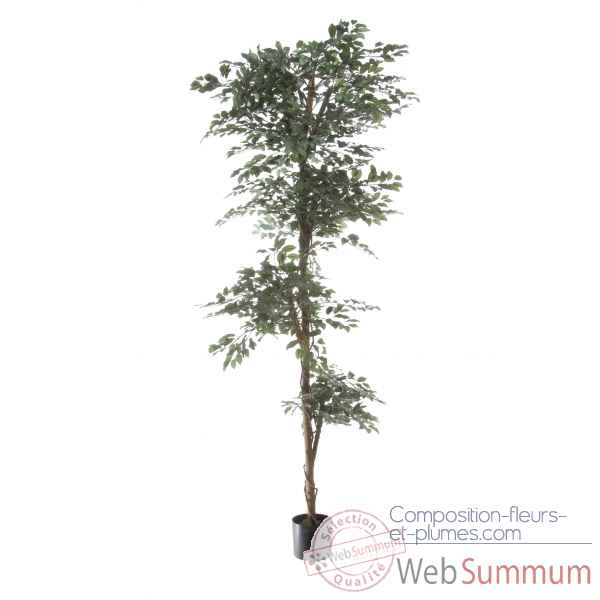 Ficus topiary vert Louis Maes -40104.210