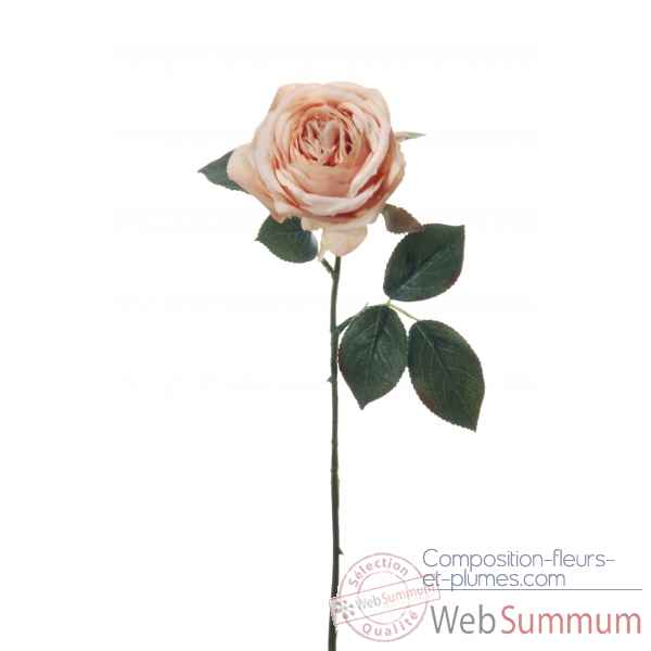 Rose 48cm Louis Maes -06176.668