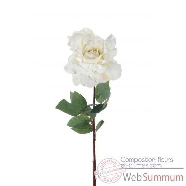 Rose ouverte 75cm Louis Maes -06020.406