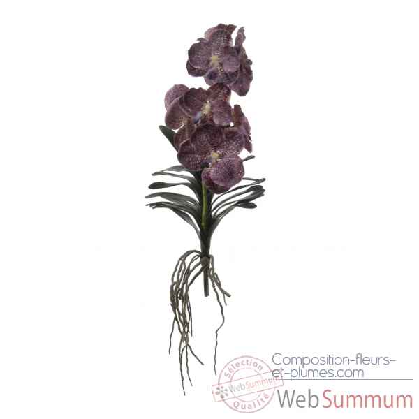 Tina vanda orchidee +blad 43cm Louis Maes -80296.613