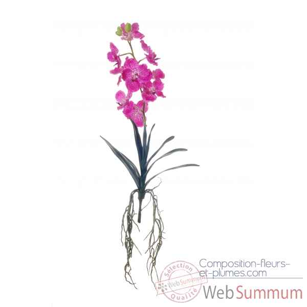 Vanda-orchidee x9 +blad 57cm Louis Maes -06008.630