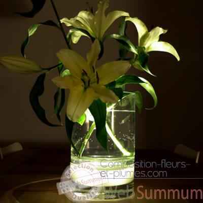 Video Vase intterieur avec lumiere fleur lampe 29 cm Verre